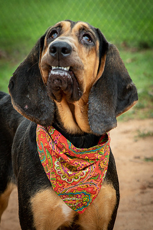 Jethro-0852