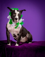 Foster Claire-4219