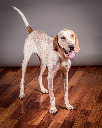 Foster Memphis-3149