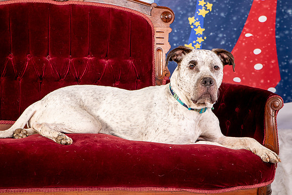 Foster Sylvester-0964