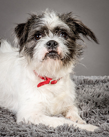 Foster Leeza-2624