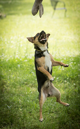 Foster Calvin-0996