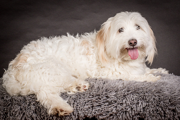 Foster Frosty-0635