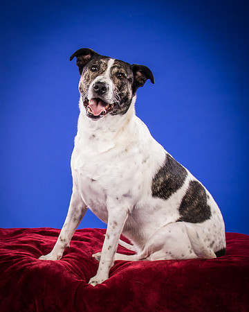 Bruns-Melo and Gracie-3057