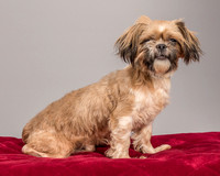 13. Foster Toffee