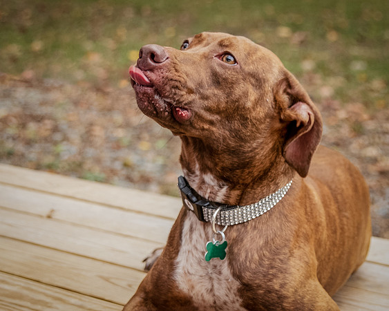 Foster Caitlyn4875
