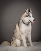 Foster Aspen-7586