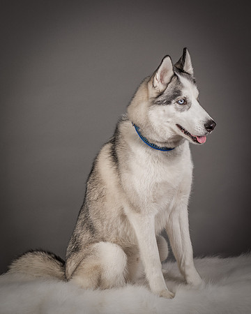 Foster Aspen-7586