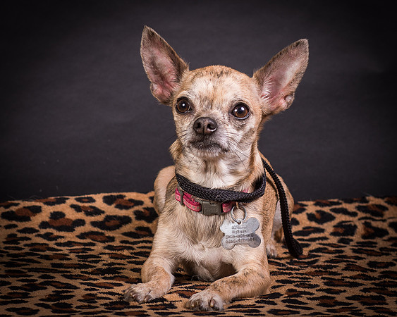 Foster Selina-1213