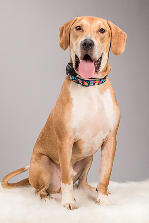 Foster Troy-6293