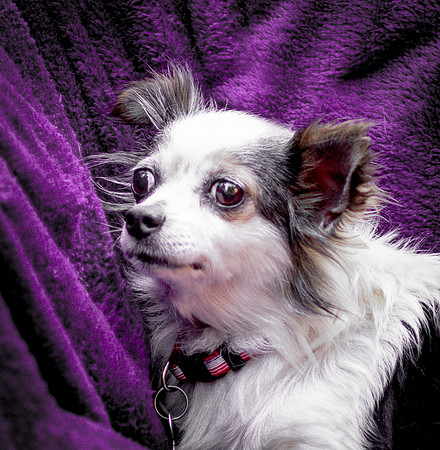 Foster Anouk-8781