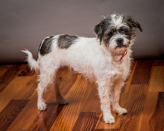 Foster Leeza-2820