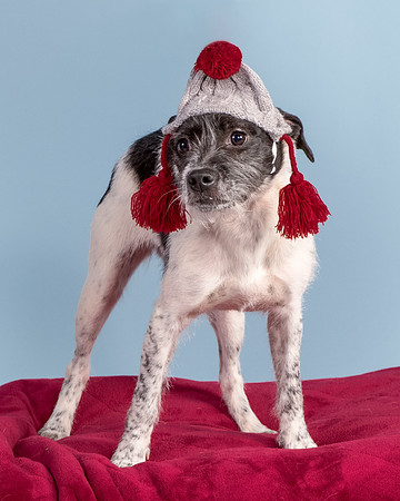 Foster Billie-8232