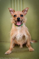 Foster Harry-3641