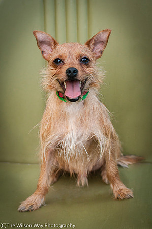 Foster Harry-3641