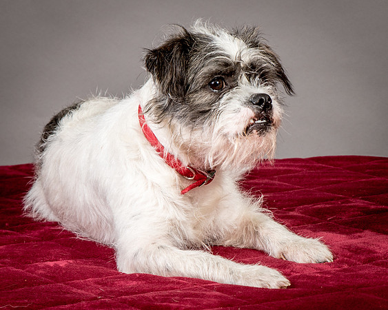 Foster Leeza-2755