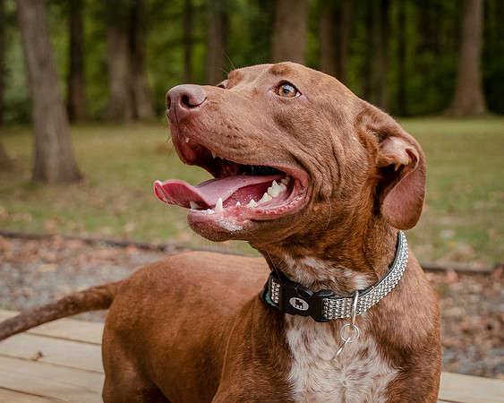 Foster Caitlyn4836