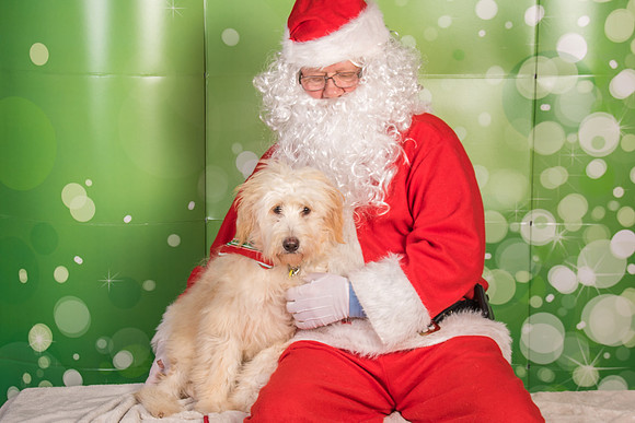 Oliver-2580