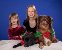 Melton-Hobble and Daisy-4633