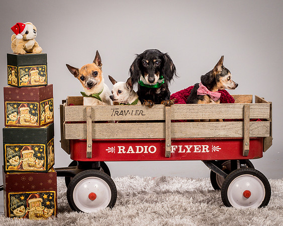 Foster Hospice Gang-3954