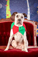 Foster Sylvester-0947