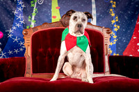 Foster Sylvester-0944