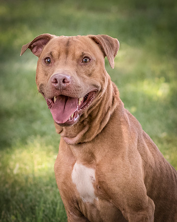 Foster Pablo-7958