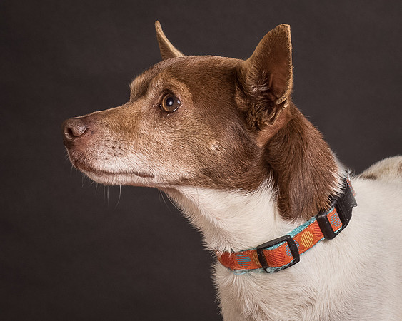 Foster Gus-0376