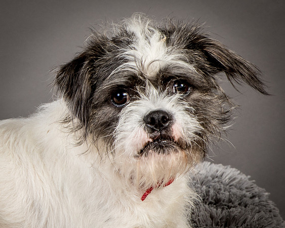 Foster Leeza-2603