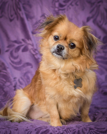 Foster Tia Maria-7913