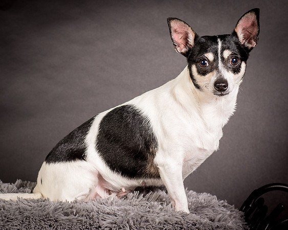 Foster Richa-0481