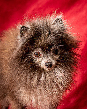 Foster Loretta-1387