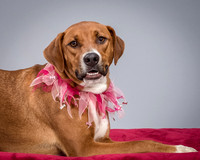 Foster Holley-4116