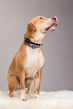 Foster Troy-6288