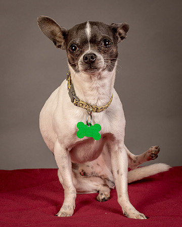 Foster Wesley-4826
