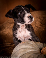 Foster Bennett-6325
