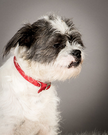 Foster Leeza-2544