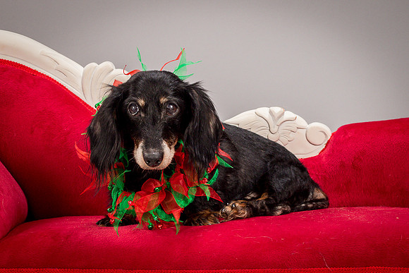 Foster Bernice-3776