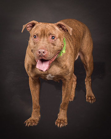 Foster Coco-2065