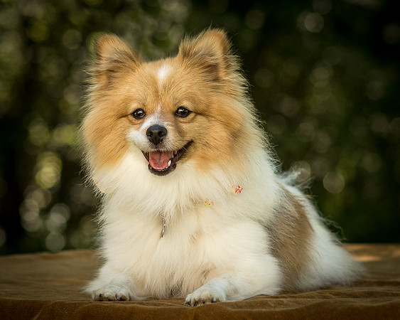 Foster Sydney-7680