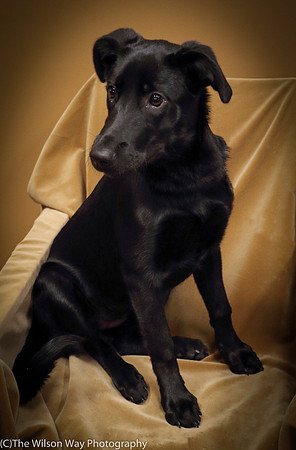 Foster Nadirah-0547
