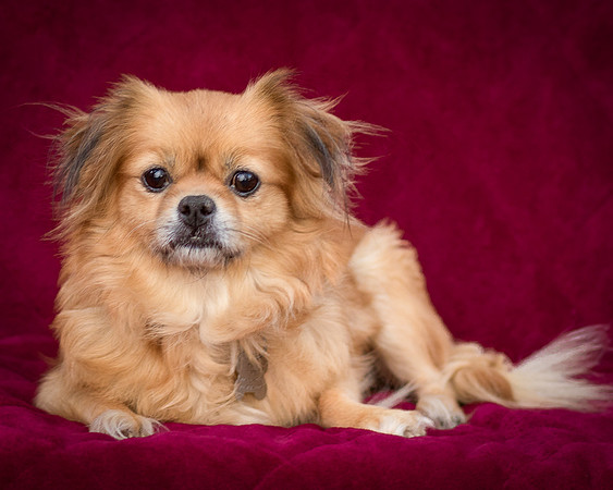 Foster Tia Maria-7929