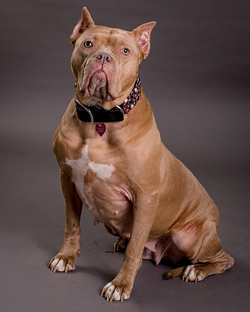 Maggie Griner-7573