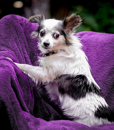 Foster Anouk-8764