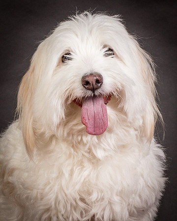 Foster Frosty-0574