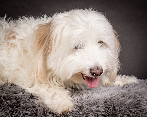 Foster Frosty-0626
