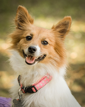 Foster Brandi-3206