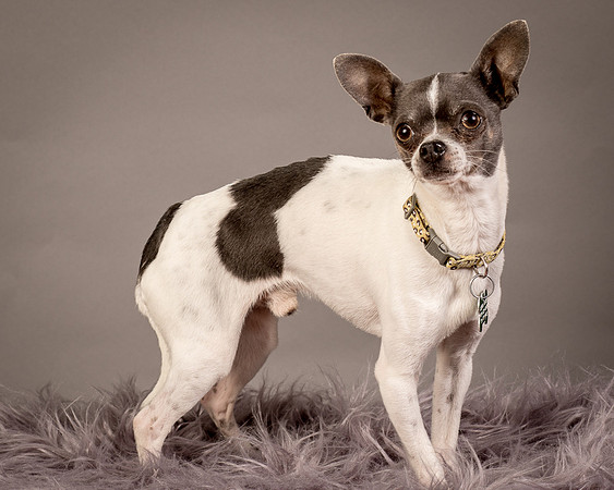 Foster Wesley-4798