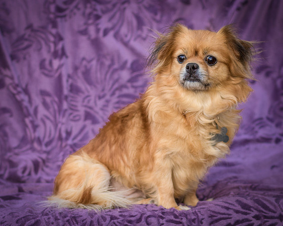 Foster Tia Maria-7894