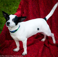 Foster Alfred-3717